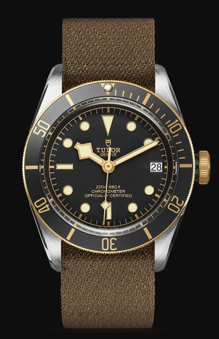 Tudor BLACK BAY S&G M79733N-0005 Replica Watch
